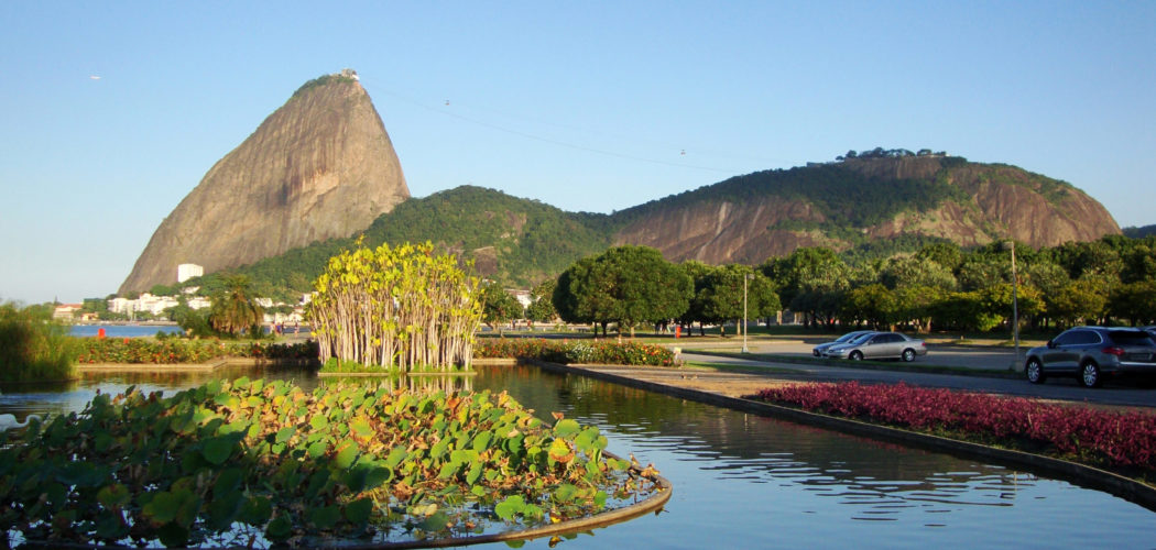 Flores_do_Aterro_do_Flamengo
